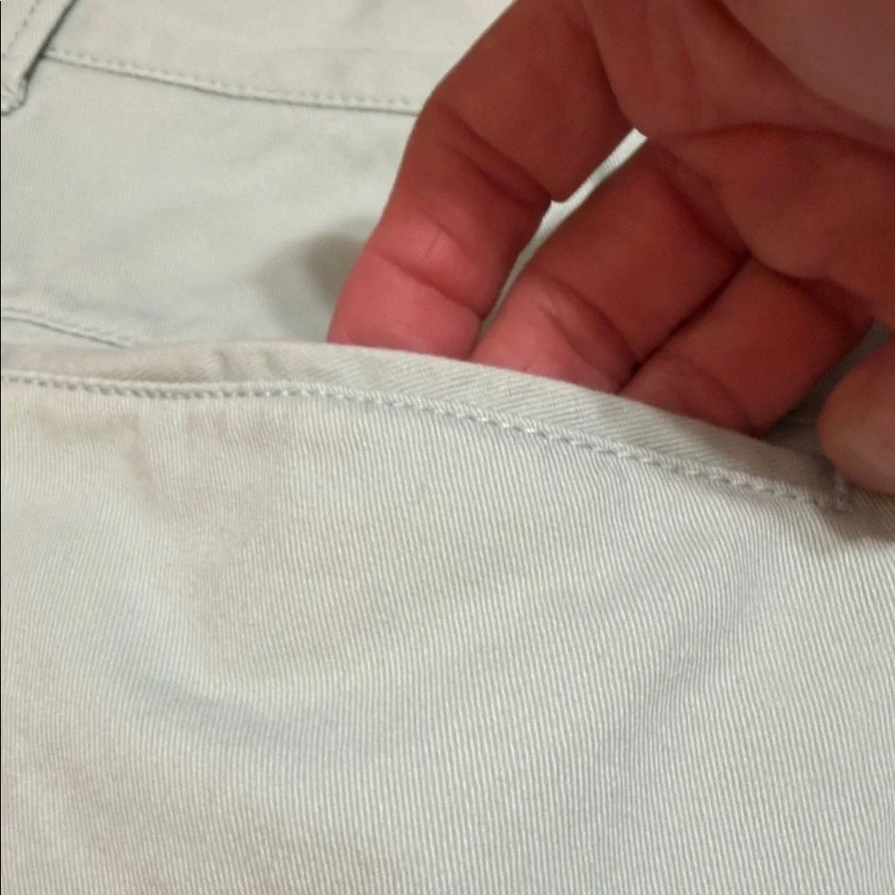 J. Crew Men's Pastel Green Flat-Front Cotton Chino 9” Shorts, Size 36.